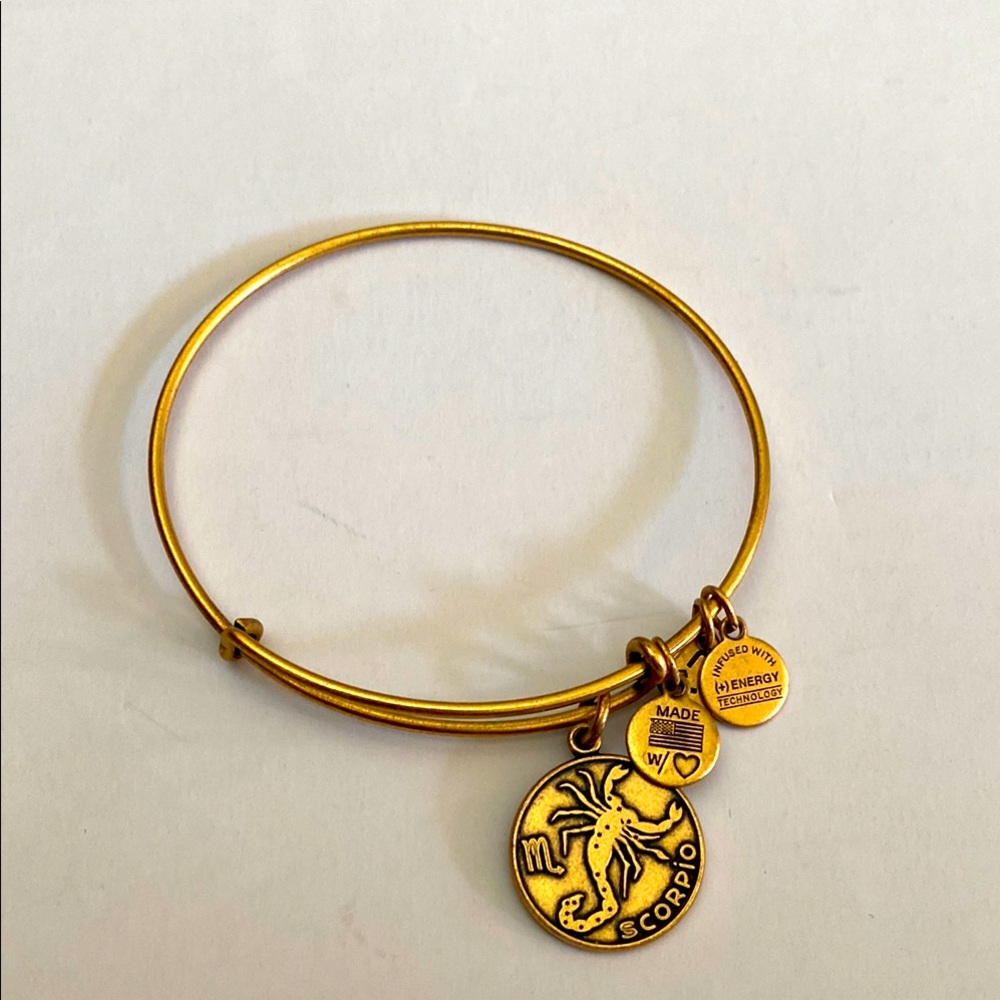 Alex and Ani Scorpio Bracelet EUC